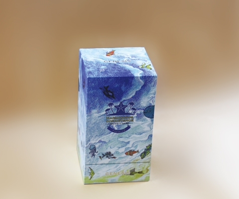 Customized perfume box design high quality perfume gift box perfume packaging box